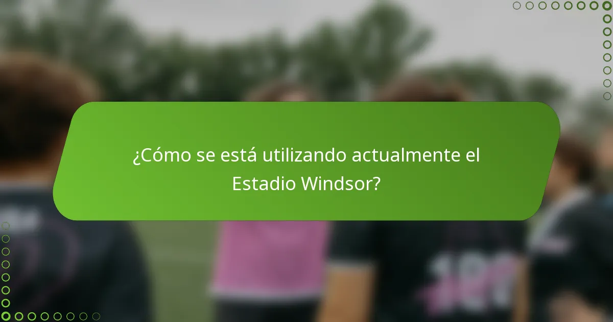 ¿Cómo se está utilizando actualmente el Estadio Windsor?