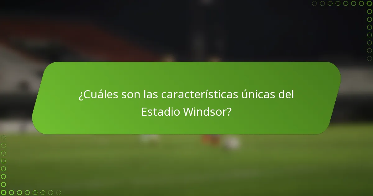 ¿Cuáles son las características únicas del Estadio Windsor?