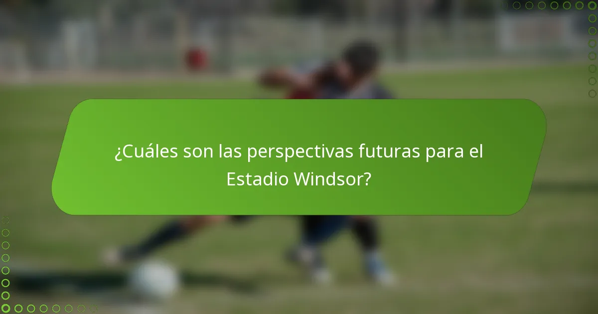 ¿Cuáles son las perspectivas futuras para el Estadio Windsor?