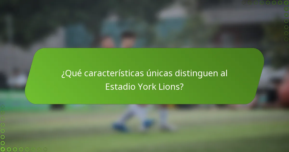 ¿Qué características únicas distinguen al Estadio York Lions?